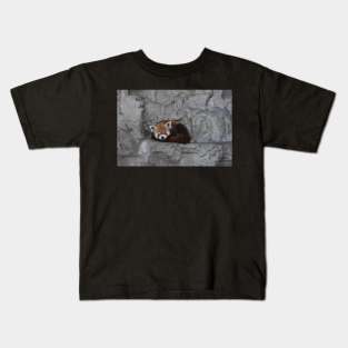 Red Panda Kids T-Shirt